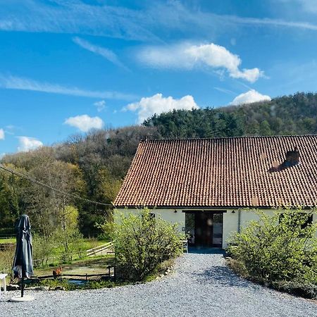 Andenne Le Ranch Des Aguessesヴィラ エクステリア 写真