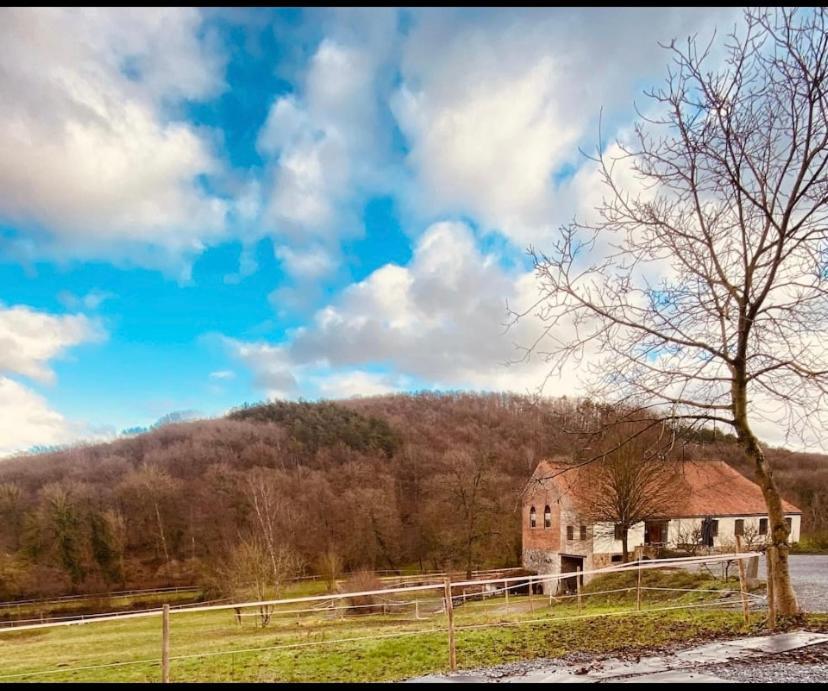 Andenne Le Ranch Des Aguessesヴィラ エクステリア 写真