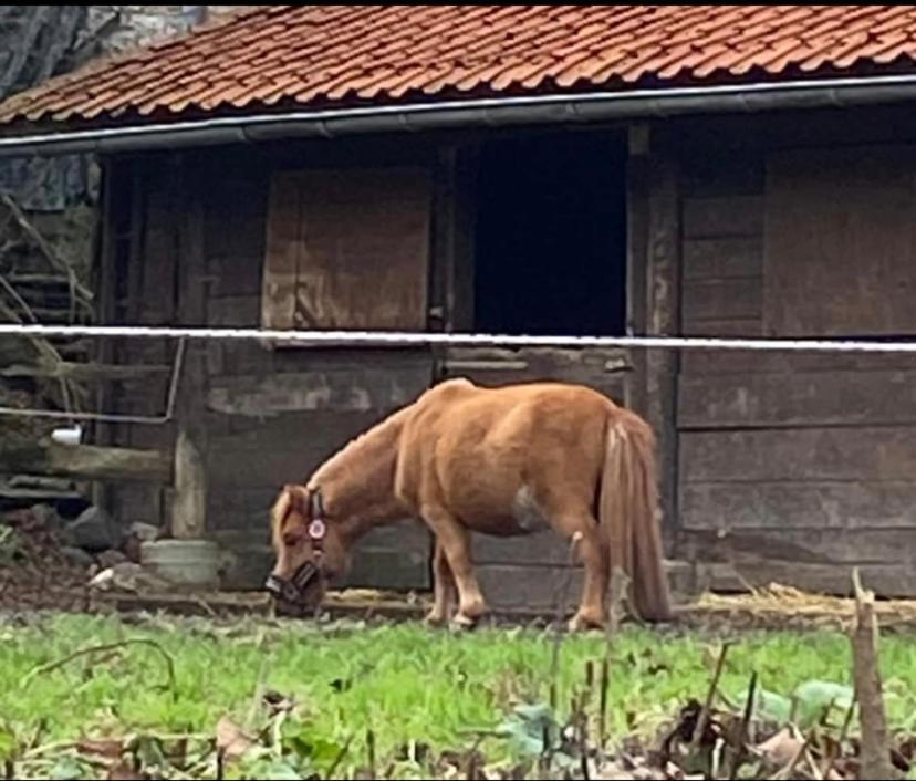 Andenne Le Ranch Des Aguessesヴィラ エクステリア 写真