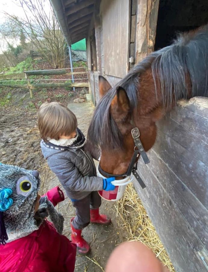 Andenne Le Ranch Des Aguessesヴィラ エクステリア 写真