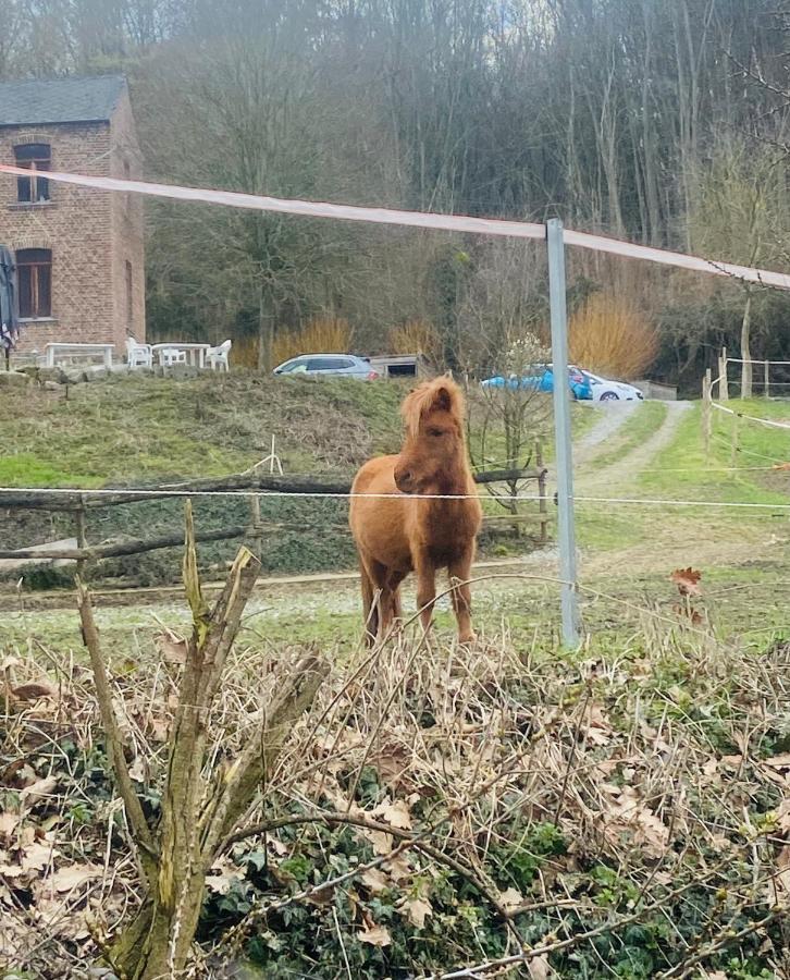 Andenne Le Ranch Des Aguessesヴィラ エクステリア 写真